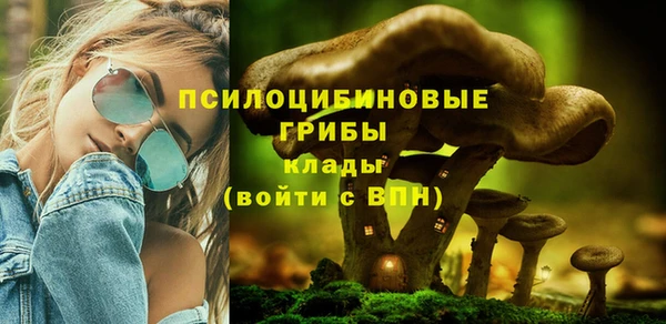 спайс Бородино