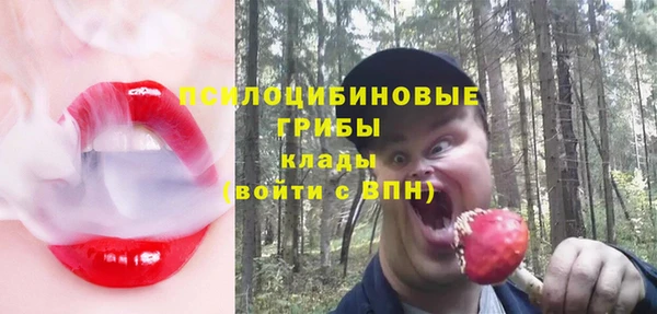 спайс Бородино