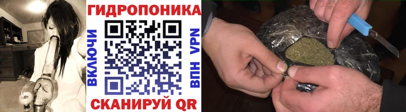Каннабис план  Купить  Котельниково 